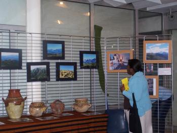 Semaine culturelle berbère 2007, expositions, vue générale